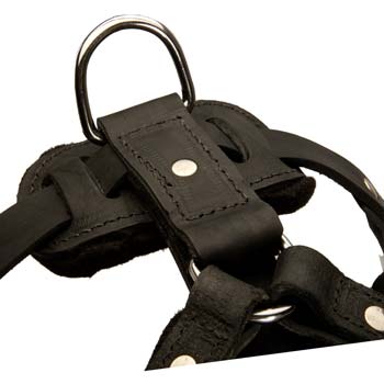Training leather harness with solid D-ring