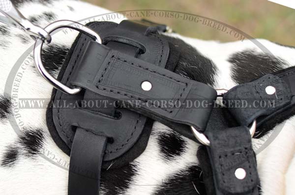 Custom Made Felt Padded Protection Dog Harness