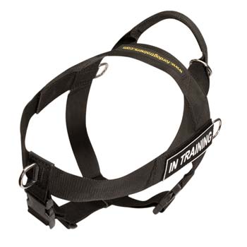 Adjustable nylon dog harness for large and powerful  dogs