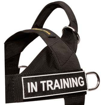 All-weather nylon dog harness for Dogue de Bordeauxs
