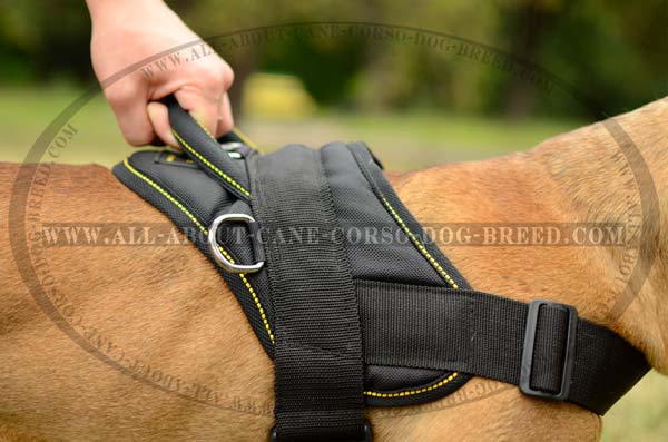 Tracking and Pulling Nylon Dog Harness