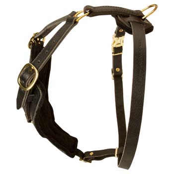 Fashion Walking Padded Leather Harness for Cane Corso