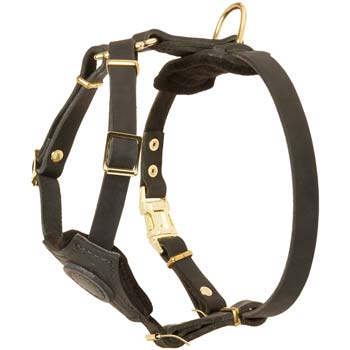 Felt Padded Leather Harness for Small Cane Corso