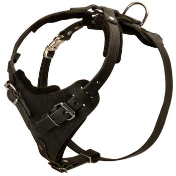 Hardwearing leather dog harness for Great Danes