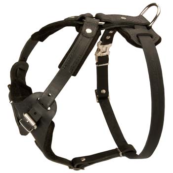 Perfect quality safety dog harness
