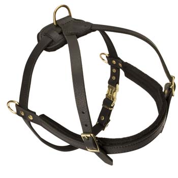 Unique pulling leather dog harness