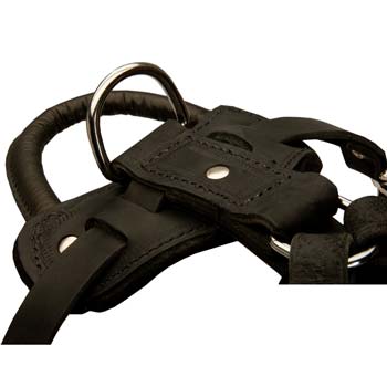 Most dependable leather dog harness