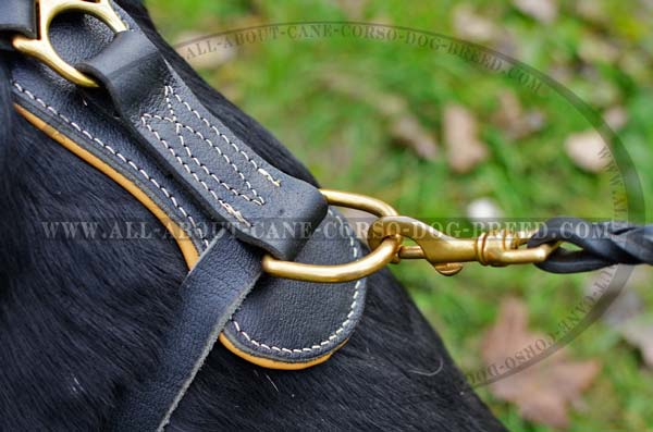 Cane Corso leather dog harness with With Extra Strong Ring for Dog Leash Attachment