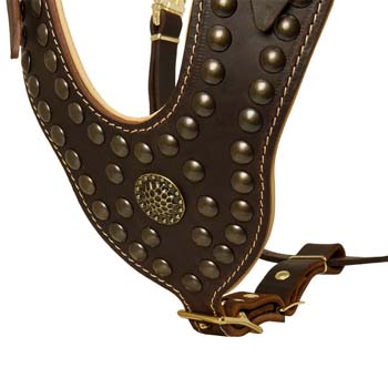 Nappa Padded Leather Chest Plate