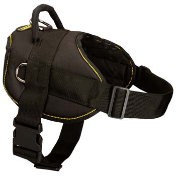 Exclusive pulling nylon dog harness for Mastino  Napoletano has 2 adjustable straps