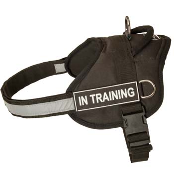 Safety nylon training Mastino Napoletano harness for police work