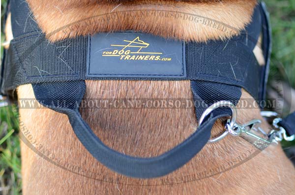 Well-Fitted Comfortable Nylon Dog Harness For  Bullmastiffs