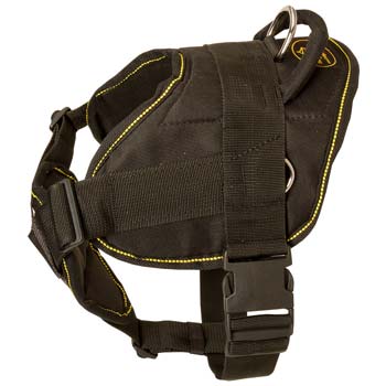 Cane Corso nylon dog harness with Chest Plate