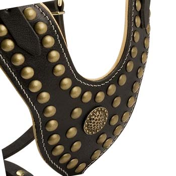 Brass studded leather dog harness for tall dogs