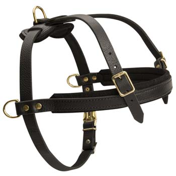 Tracking leather dog harness for big strong dogs