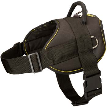 Tracking Walking Cane Corso nylon harness