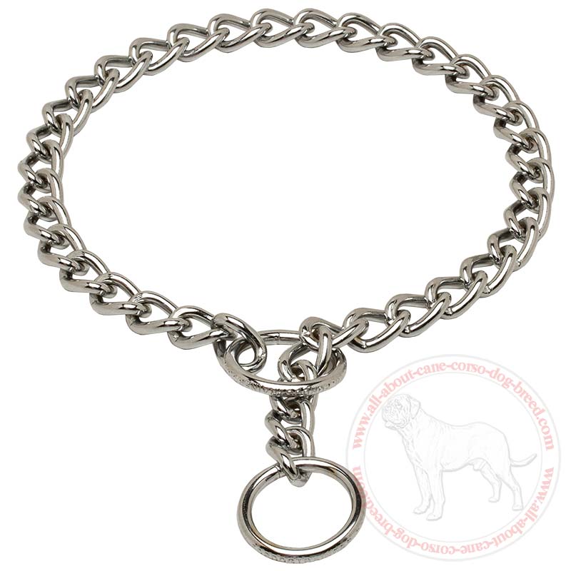 Training Steel Chrome Plated Dog Choke Collar Cane Corso Store