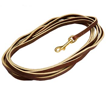 Extra Long Brown Leather Dog Leash for Tracking