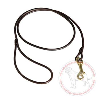 6 mm Wide Leather Leash for Cane Corso