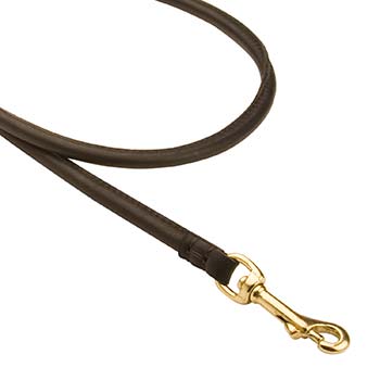 Walking Cane Corso Leash with snaphook