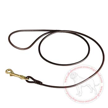 Round Leather Dog Leash for Walking