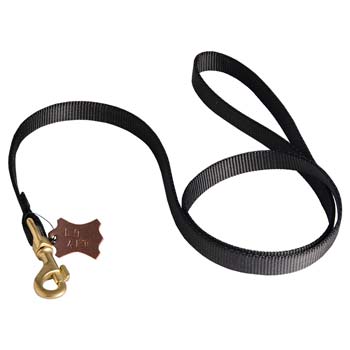 Dog nylon leash with double security lock