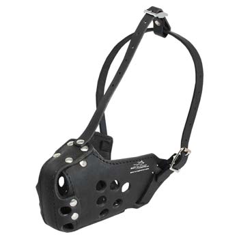 Dog Muzzle Leather with Strong Adjustable Straps for Cane Corso