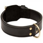 Extra Strong 2ply Leather Dog Collar for Cane Corso Training
