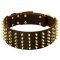 Fashion Extra Wide Spiked Leather Dog Collar for Cane Corso
