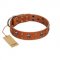 "Rebellious Nature" FDT Artisan Tan Leather Cane Corso Collar Embellished with Crossbones and Square Studs