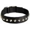 Fashion Wide Nylon Dog Collar With Nickel Pyramids for Cane Corso Breed