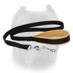 Lupine Nylon Cane Corso Leash with Padded Handle