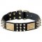 Designer Dog Collar for Large Breed Dogs Like Cane Corso