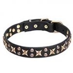 'Vintage Legacy' Leather Cane Corso Collar with Old-Fashioned Stars and Studs
