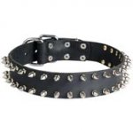 Leather Spiked Dog Collar for Cane Corso