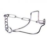 Fur Saving Stainless Steel Cane Corso Show Collar