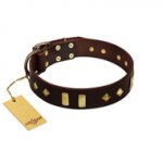 "Blinking Illusion" FDT Artisan Brown Leather Cane Corso Collar with Old Bronze-like Studs and Plates