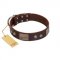"Stone Stars" Stylish Handmade FDT Artisan Brown Leather Cane Corso Collar