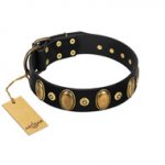 "Venerable Pawty" FDT Artisan Black Leather Cane Corso Collar with Old Bronze-like Ovals and Studs