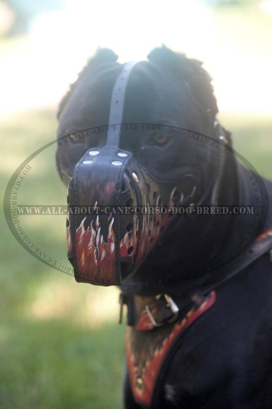 Comfortable Handmade Leather Cane Corso Muzzle