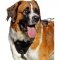 Super Durable Leather Moscow Watchdog Dog Harness for Attack/Agitation Work