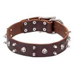 'Real Biker" Fashion leather Cane Corso Collar with Spikes and Skulls