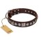 "Pierian spring" FDT Artisan Brown Leather Cane Corso Collar with Silvery Decorations