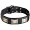 Wide Leather Dog Collar for Large Breed Dogs Like Cane Corso
