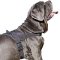 Professional Light-Weight Pulling Nylon Mastino Napoletano Harness with Strong Handle