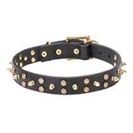 Designer Leather Cane Corso Collar with Stars and Spikes