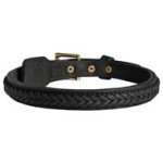 Elegant Braided Leather Dog Collar for Cane Corso Breed