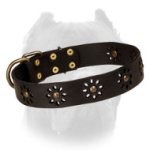 'Spring Mood' Leather Cane Corso Collar for Everyday Walking