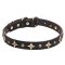 'Milky Way' Leather Cane Corso Collar with Old Bronze-plated Half-ball Studs and Stars