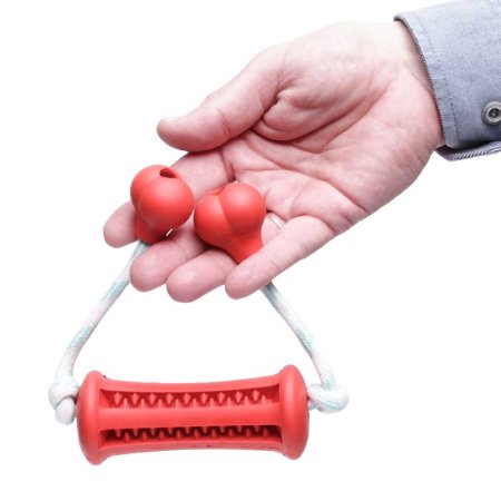 Red Training Dental Dog Toy With Handles